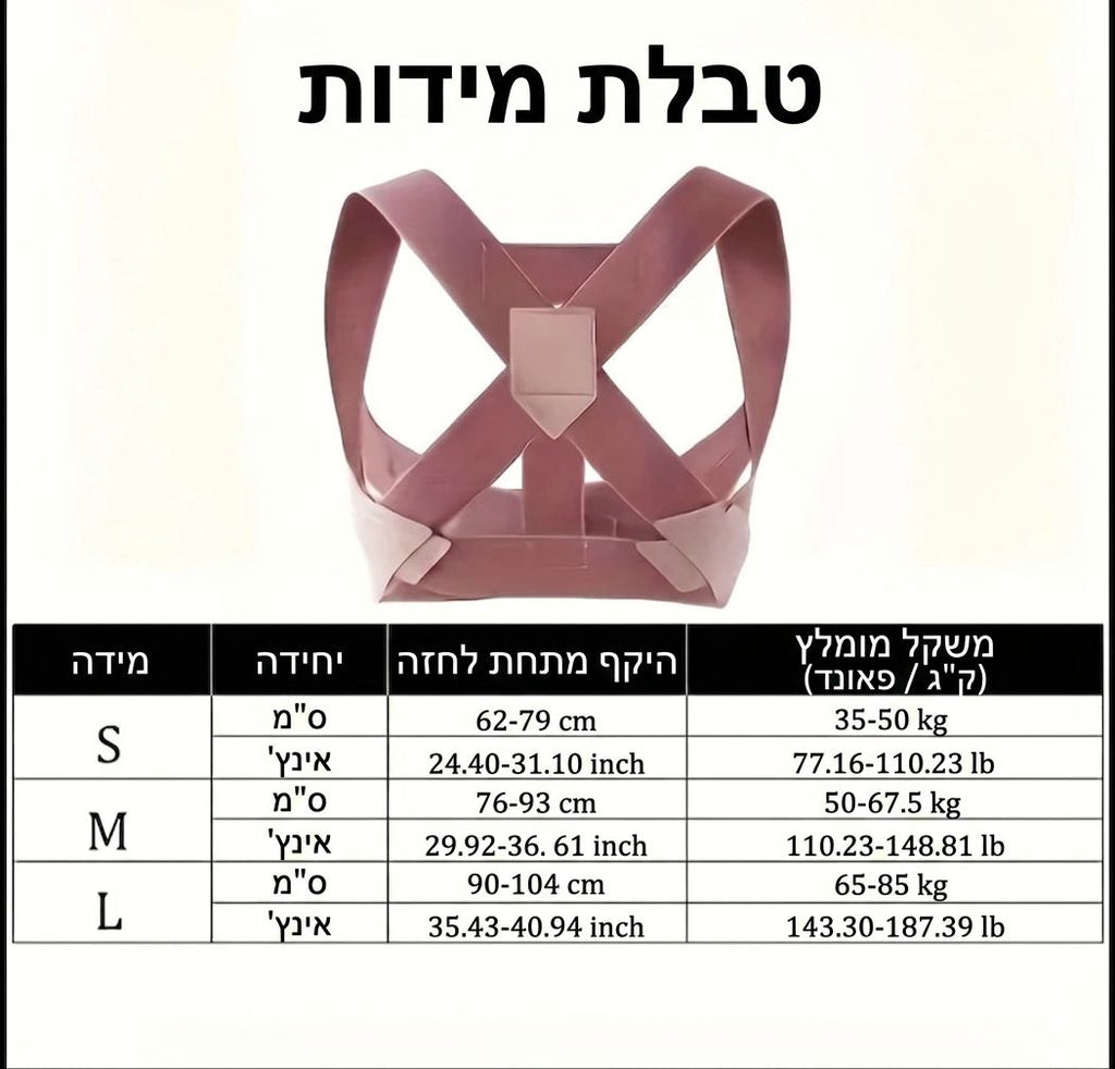 מייצב גב מקצועי ואיכותי